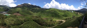 Cameron Highlands-075